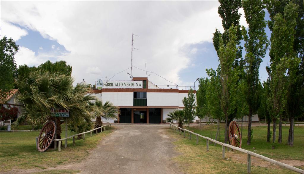 Vinedos de Fabril Alto Verde en San Juan